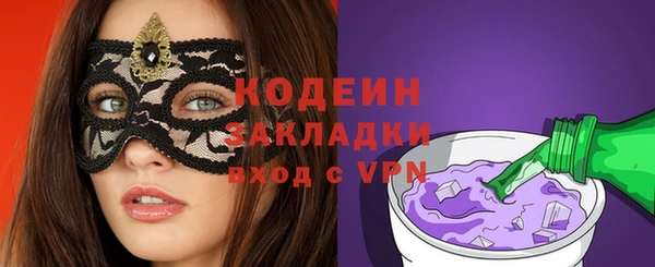 крисы Мегион