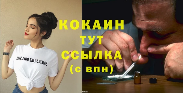 крисы Мегион