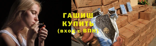 крисы Мегион