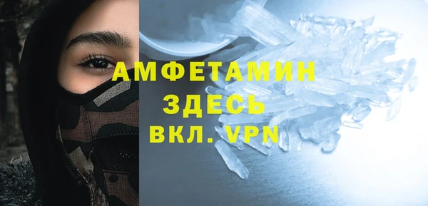 крисы Мегион