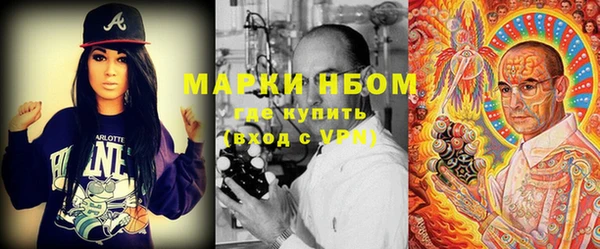 крисы Мегион