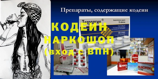 крисы Мегион
