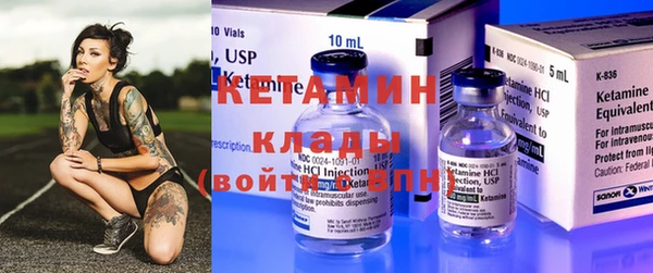 крисы Мегион